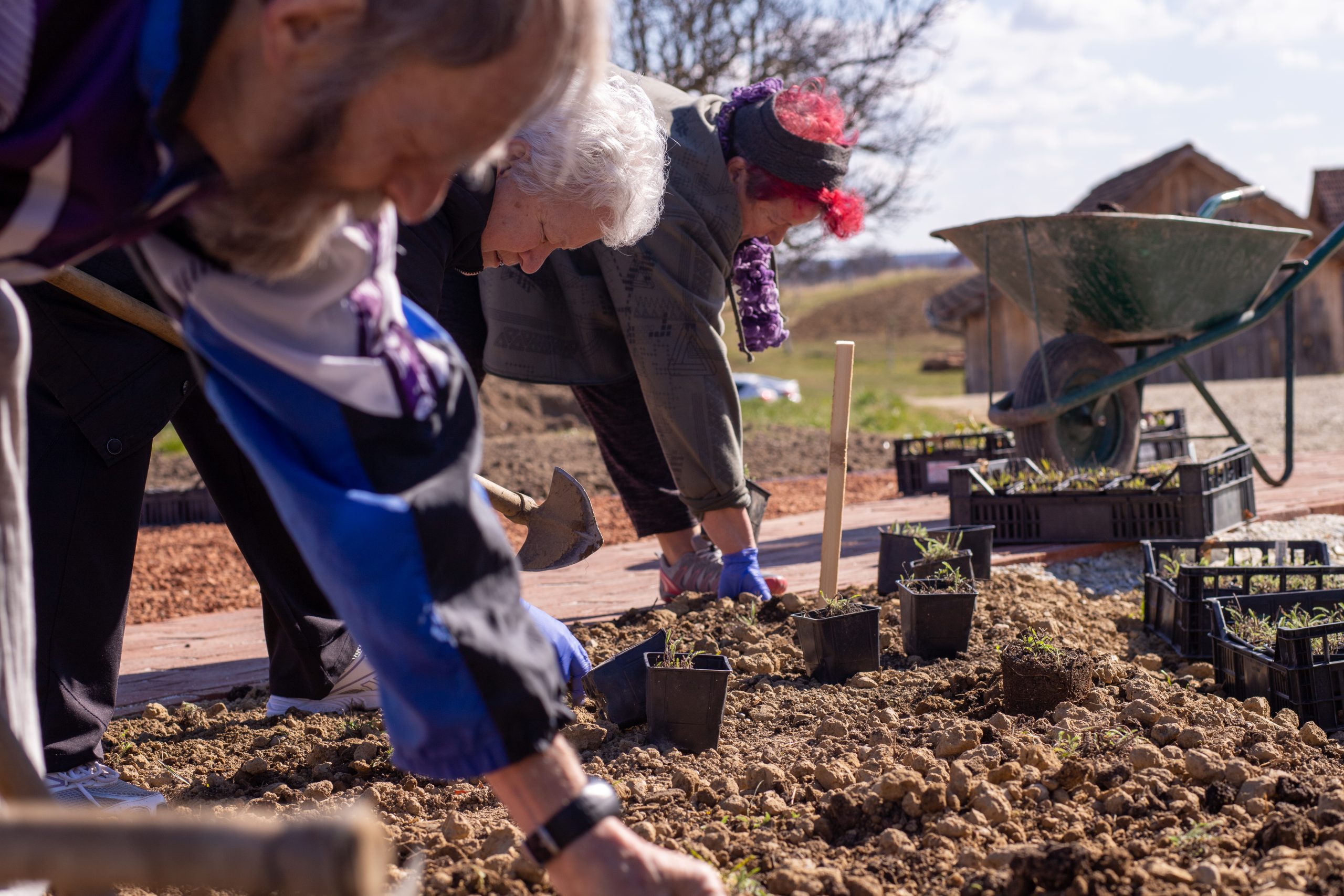 During planting_1